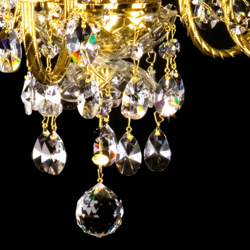 ADELA V. FULL CUT CE